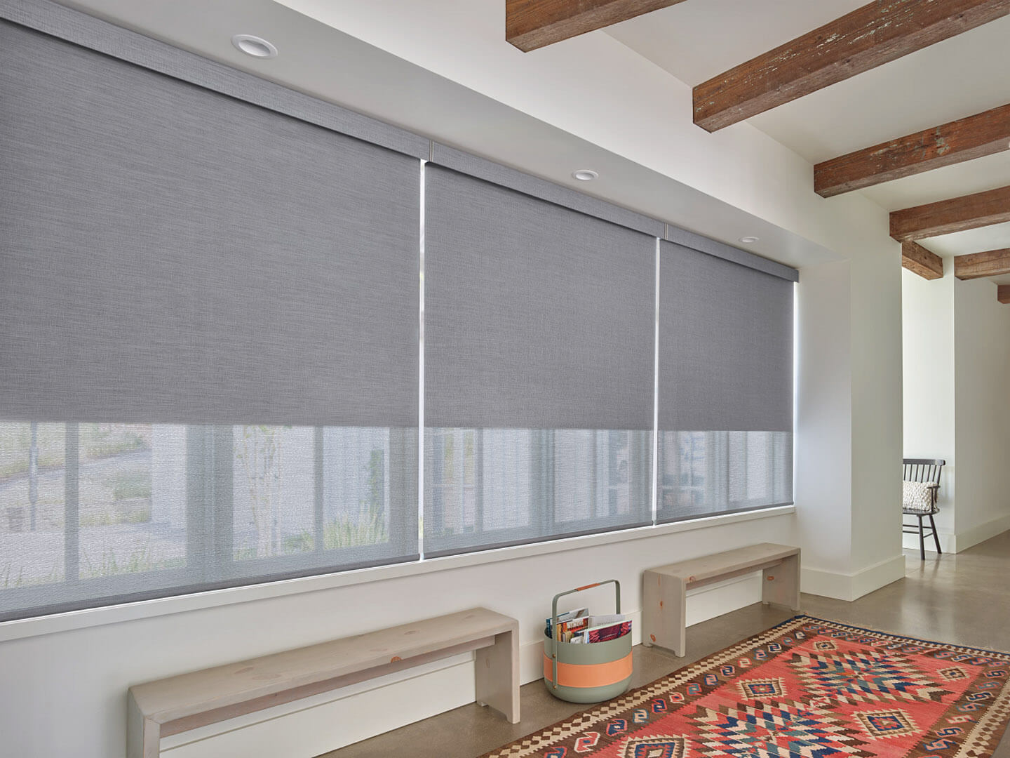 Roller Shades For Windows