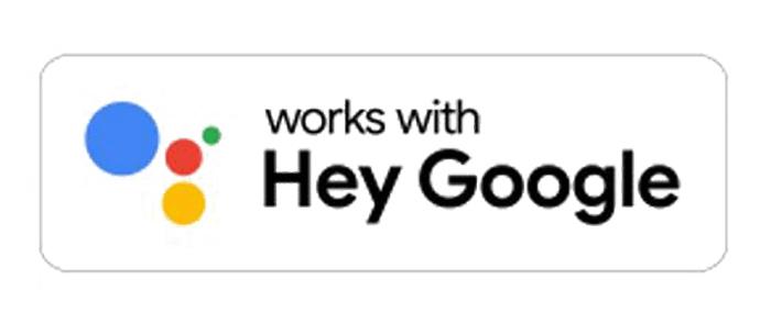 works with google voice
