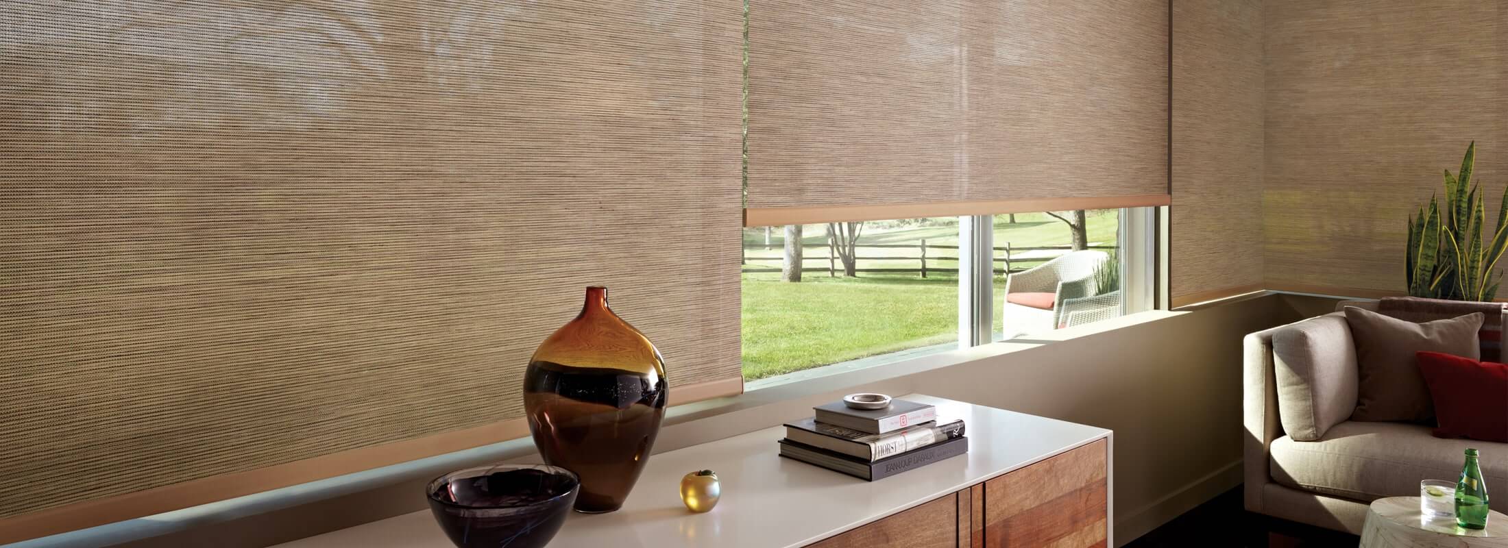 Hunter Douglas Roller Shades 10