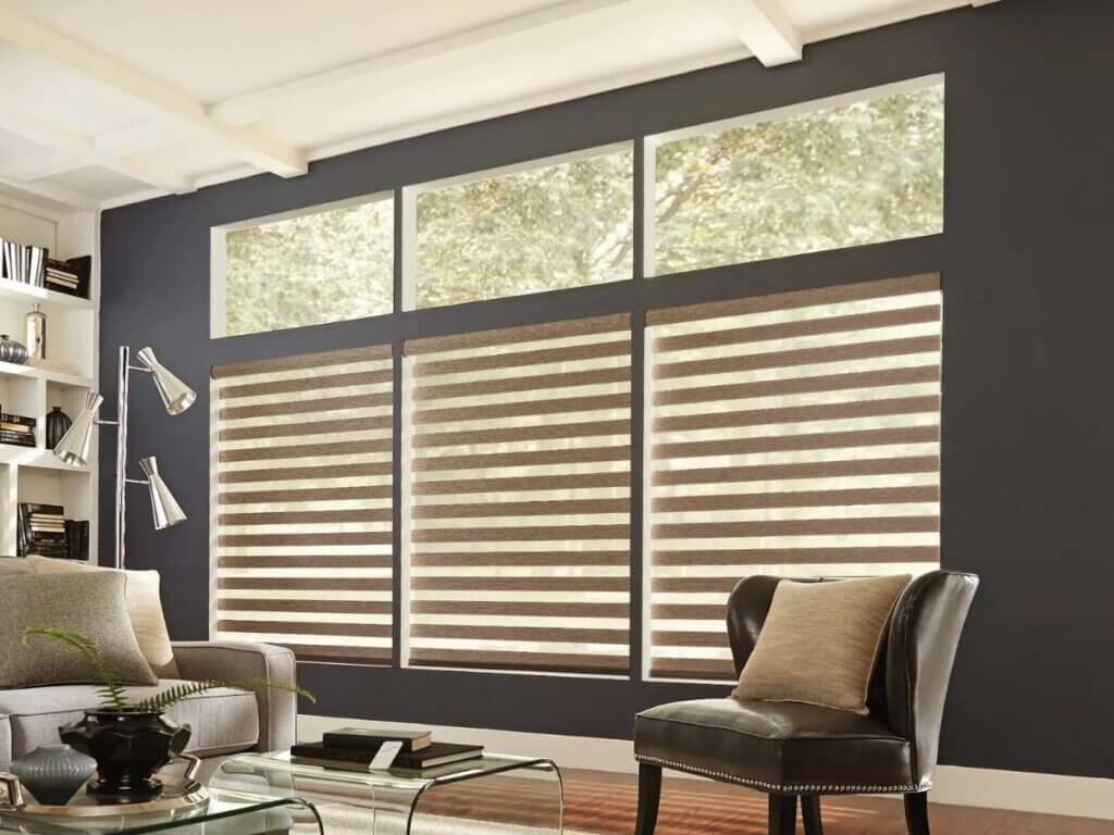 This is a photo of a layered shades in a sitting room